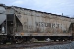 WP 12019